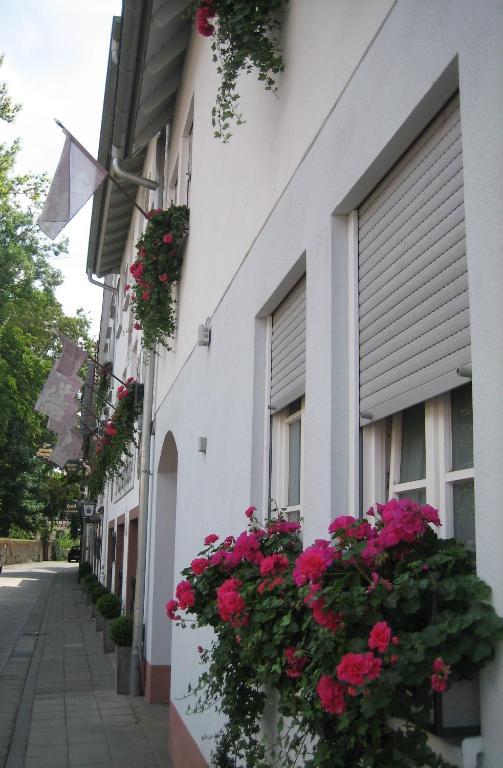 Hotel Wappenstube Erbach  Exterior foto
